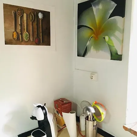La Casa De Martina * Ribota